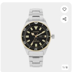 Citizen Silver and Gold Dive Watch